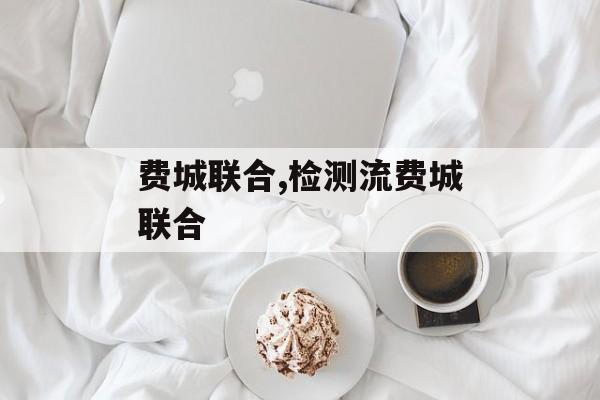 费城联合,检测流费城联合