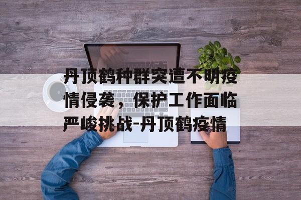 丹顶鹤种群突遭不明疫情侵袭，保护工作面临严峻挑战-丹顶鹤疫情