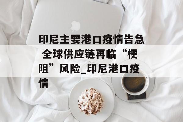 印尼主要港口疫情告急 全球供应链再临“梗阻”风险_印尼港口疫情