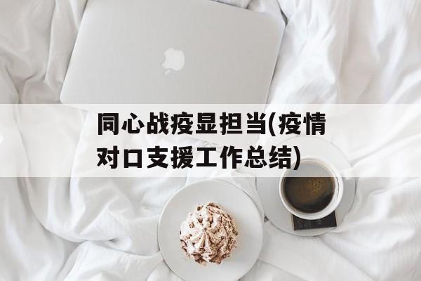 同心战疫显担当(疫情对口支援工作总结)