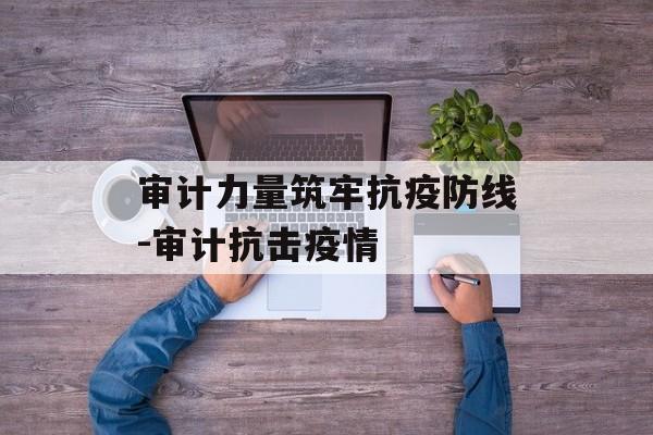 审计力量筑牢抗疫防线-审计抗击疫情
