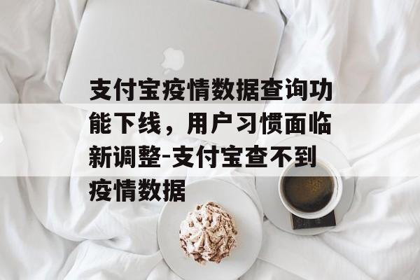 支付宝疫情数据查询功能下线，用户习惯面临新调整-支付宝查不到疫情数据