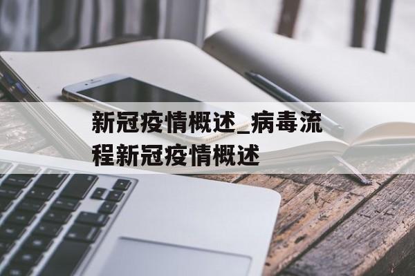 新冠疫情概述_病毒流程新冠疫情概述